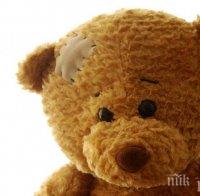 „Болница за плюшени мечета“ отваря във Варна