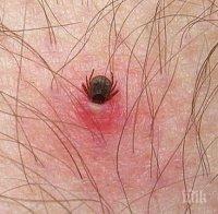 Лаймска болест тръшна санитарка