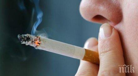 тютюневите компании отчитат контрабандата цигари