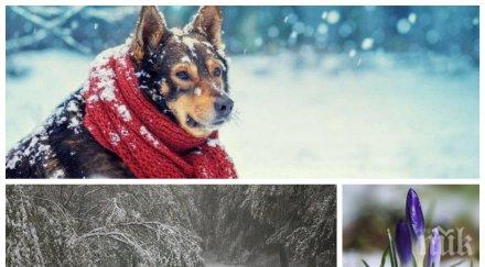 зимно разнообразие слънцето завръща страната вятърът остави усещането мразовито време