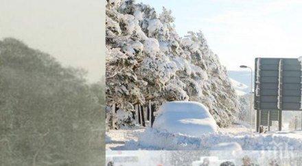 студ видин кнежа ледено време