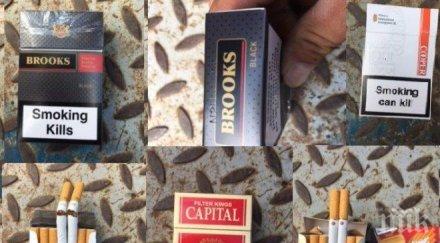 спипаха колет 1200 кутии цигари англия