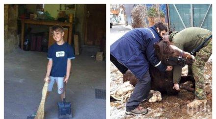 добрият пример малчуган сливен изчисти отпадъците училището дари 135 лева мичето изоставена столичен ром кобила снимки