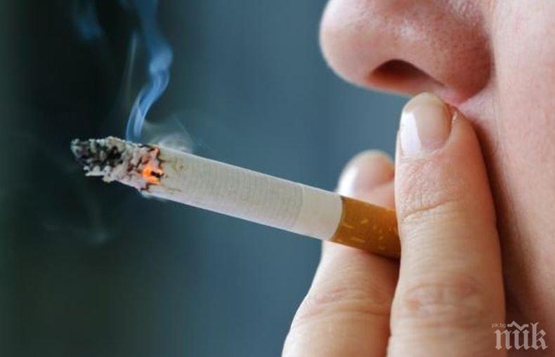 Тютюневите компании отчитат контрабандата на цигари