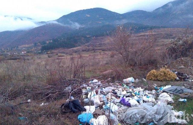 ЕКШЪН В КАРЛОВО: Гонят каруца с нелегален боклук