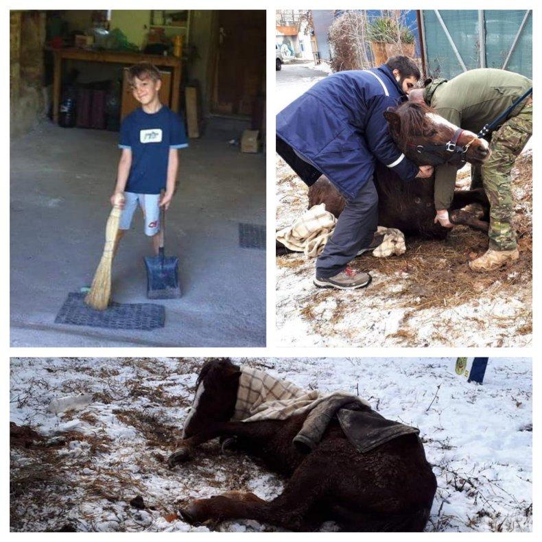 ДОБРИЯТ ПРИМЕР: Малчуган от Сливен изчисти отпадъците от училището си и дари 135 лева за Мичето - изоставена от столичен ром кобила (СНИМКИ)