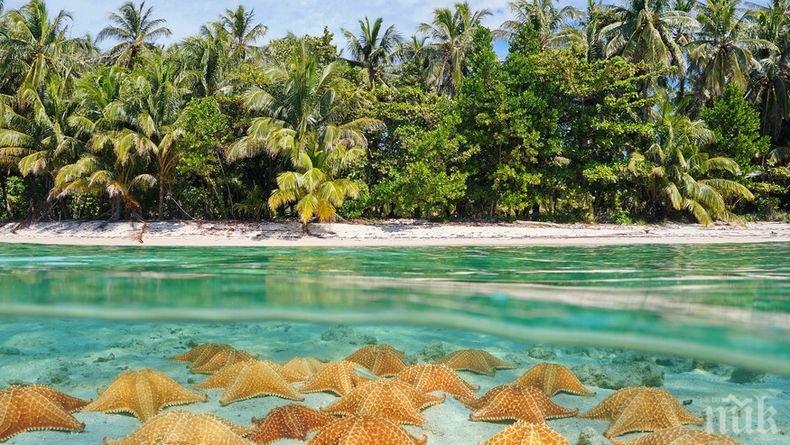 Астробиолози доказаха спонтанната поява на живот в океаните