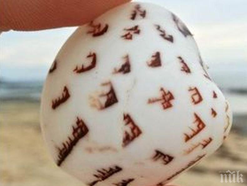 МИСТЕРИЯ: Откриха невиждан досега камък на японски остров - предполагат, че е изрисуван от извънземен