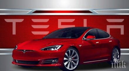 изгоря шоурум тесла