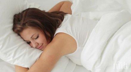 опровергаха мита ползата почивните дни