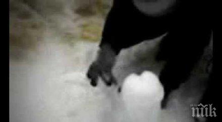 искат американка 1000 долара заради пенис снега