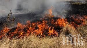 ОТ ПОСЛЕДНИТЕ МИНУТИ: Потушиха пожар в Локорско