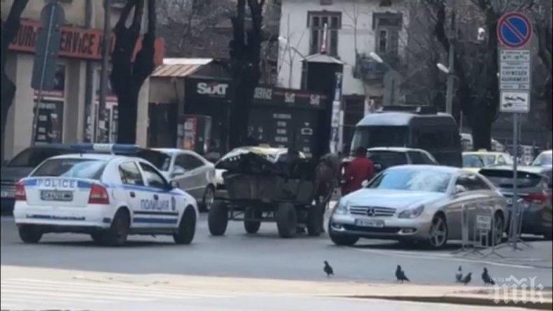СКАНДАЛНО ВИДЕО В ПИК TV: Полицейска патрулка съпровожда циганин с каруца насред София. Правят кордон на нарушителя