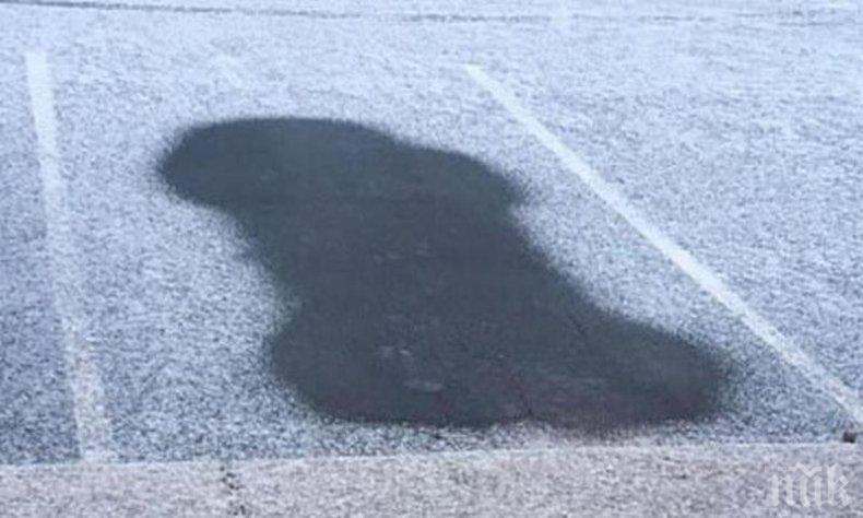 ШАШ: Глобиха жена заради... пенис на снега