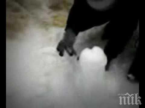 Искат от американка 1000 долара заради пенис в снега