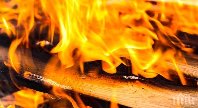 ОГНЕН АД: Пожар в склад за пелети във Варна, изгорели са коли, автобус и лодка (СНИМКИ)