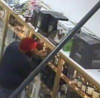 Крадец сви коняк за 4000 долара, дават награда за залавянето му