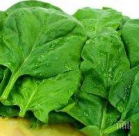 Перфектната диета: С този зеленчук почти ще забравите чувството за глад