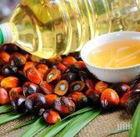 Земята потъна в... палмово масло