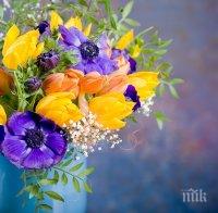 Честит 8 март, скъпи дами! А, знаете ли историята на празника