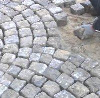 ИЗЛОЖИ ПАРТИЯТА: Спипаха председателя на БСП в Карабунар да краде павета