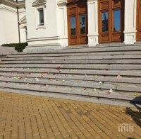 ПЪРВО В ПИК TV: На връх 8-ми март жени окупираха парламента с цветя срещу домашното насилие (СНИМКИ)