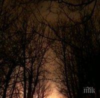 Силен вятър разпалва горски пожари в Испания