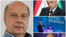 САМО В ПИК! Георги Марков остро за десните: ДСБ е селска партия-джудже, агент на БСП и убиец на СДС - вън от ЕНП!