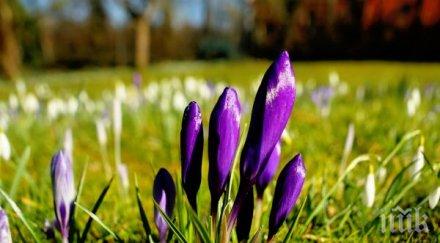 деня жената температурен рекорд нас термометърът стигна градуса