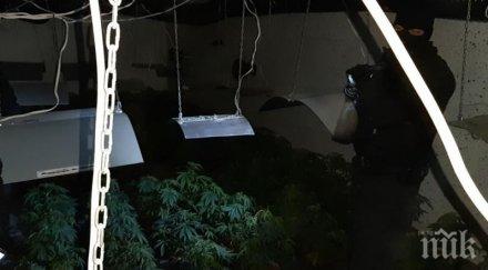 спецоперация софия ченгета откриха високотехнологична наркооранжерия земята снимки видео