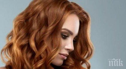 приличате визуално зодията