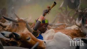 англия връща императорски кичур коса етиопия