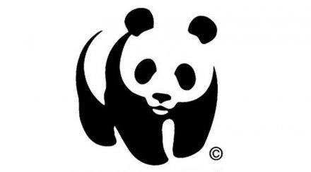 чудовищно платени wwf рейджъри убивали хора азия африка