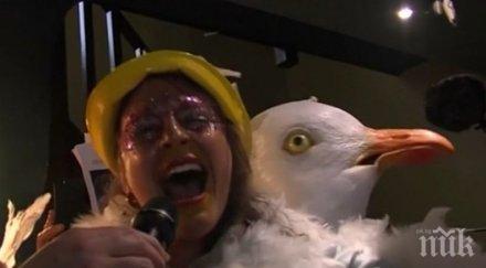 хит франция проведе състезание имитация