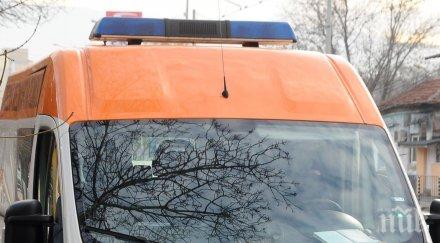 куче нападна годишна жена велико търново