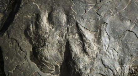 динозавърски следи бяха открити национален парк сащ