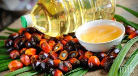 земята потъна палмово масло