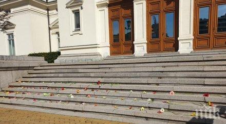 ПЪРВО В ПИК TV: На връх 8-ми март жени окупираха парламента с цветя срещу домашното насилие (СНИМКИ)