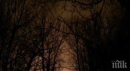 силен вятър разпалва горски пожари испания