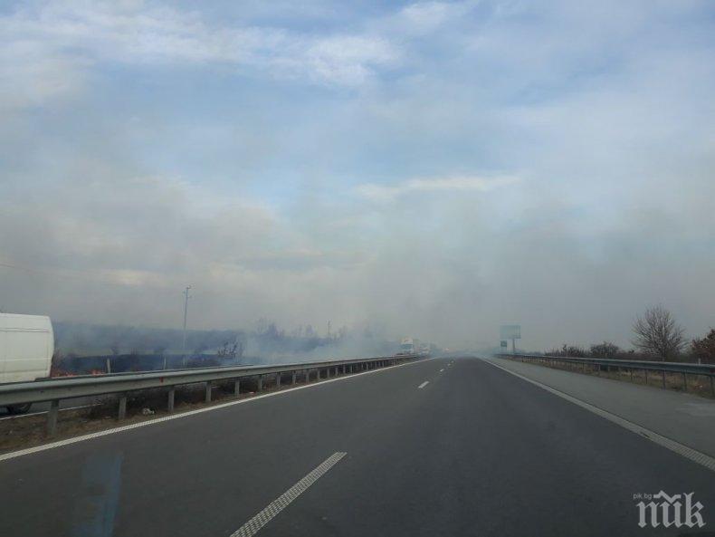 САМО В ПИК: Пожар край автомагистрала Тракия, четири екипа гасят огъня (СНИМКИ)