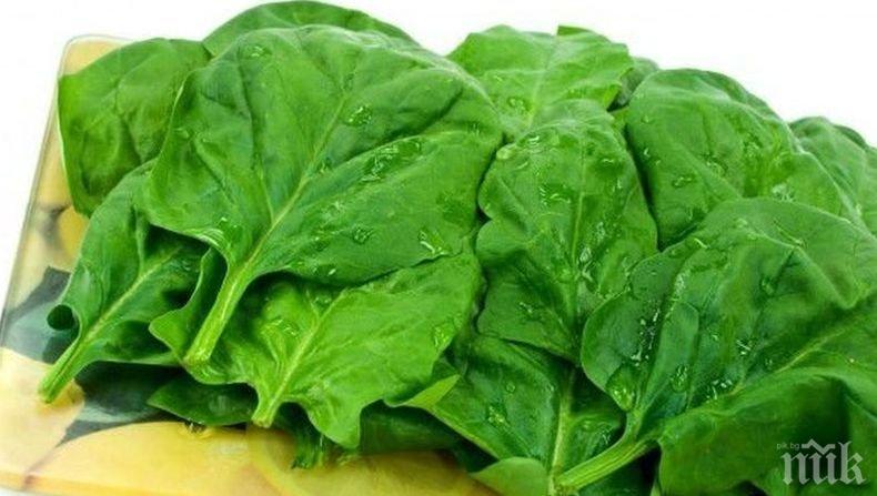 Перфектната диета: С този зеленчук почти ще забравите чувството за глад