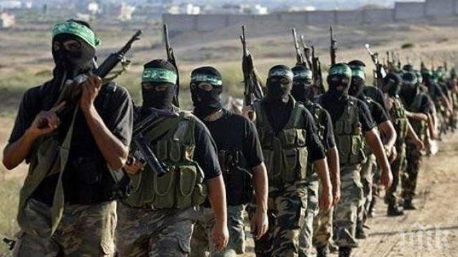 Иракската „Хизбула“ разкритикува включването й в „терористичния“ списъка на САЩ