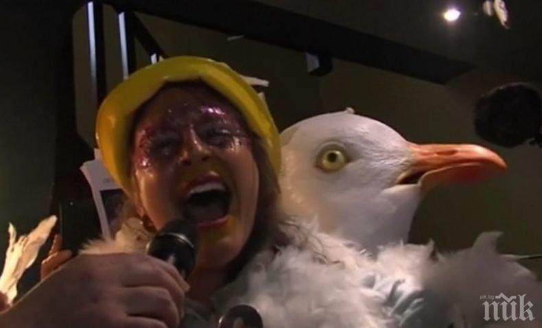 Хит: Във Франция се проведе състезание за имитация на...