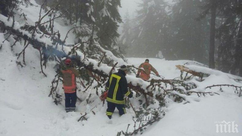 БЕЗХАБЕРИЕ: Хотел в Смолян блокиран повече от месец - няма кой да разчисти пътя