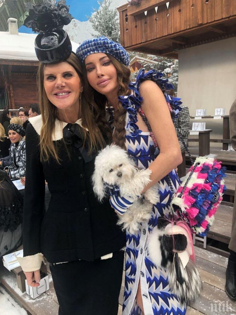 Варненски пудел сред ВИП-гостите на ревю на Шанел - световният шоубизнес набира средства за бездомните кучета в България