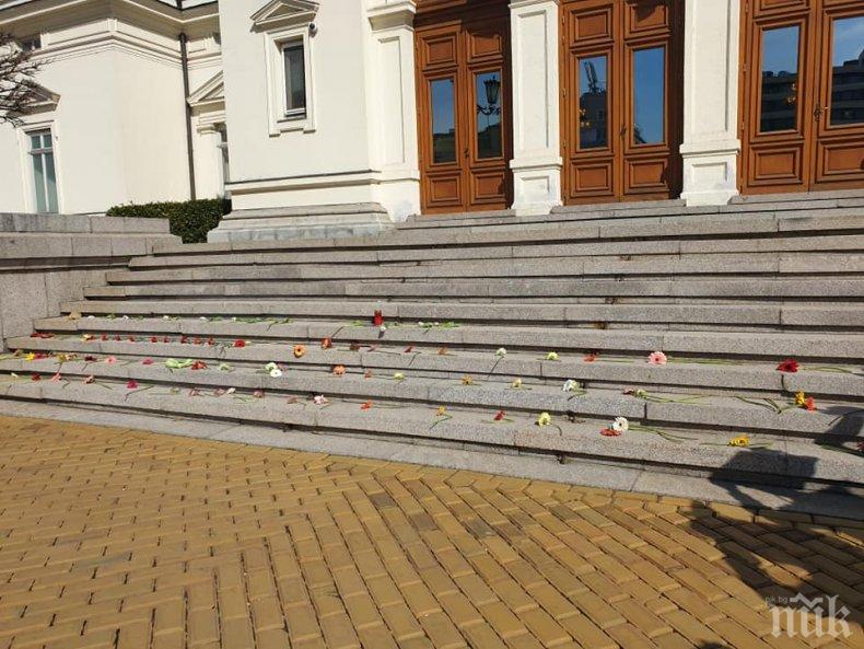 ПЪРВО В ПИК TV: На връх 8-ми март жени окупираха парламента с цветя срещу домашното насилие (СНИМКИ)