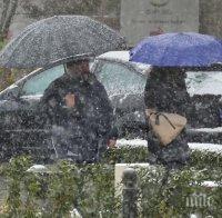 ИЗВЪНРЕДНО В ПИК: Снежна виелица в София! Колите побеляха, пътищата са хлъзгави (СНИМКИ)