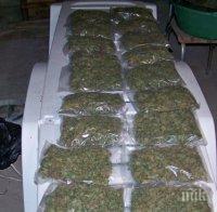 „Нова Македония“: Балканският път на дрогата става по-малко привлекателен