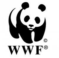 СКАНДАЛЪТ СЕ РАЗГАРЯ: WWF лъже и мами за 1 милион евро от ЕС