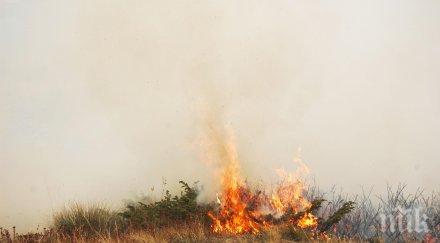 горящи храсти треви петричко вдигнаха крак пожарната